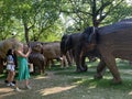 A herd of 100 elephant sculptures have taken up space in LondonÃ¢â¬â¢s Royal Parks